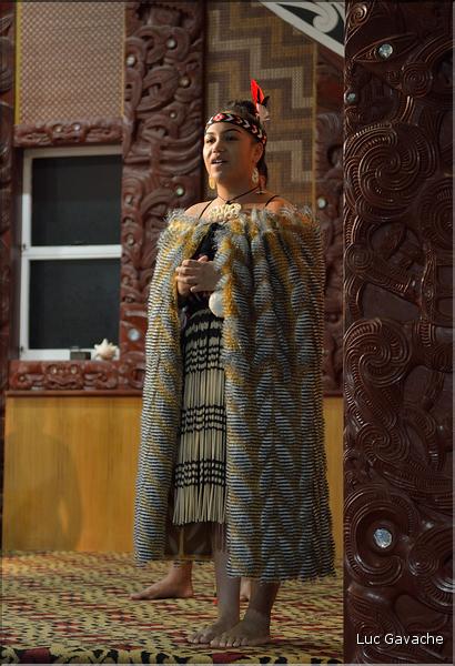 Cérémonie Maori à Te Puia Rotorua. (27)
