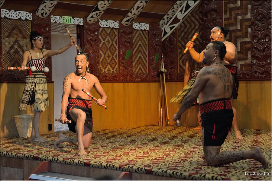 Cérémonie Maori à Te Puia Rotorua. (33)