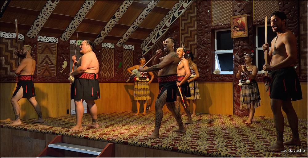 Le Haka, la célèbre danse guerrière Maori. (1)