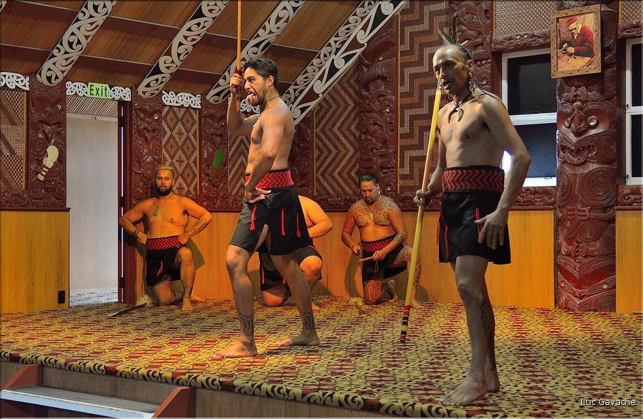 Le Haka, la célèbre danse guerrière Maori. (2)