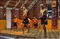 Le Haka, la célèbre danse guerrière Maori. (2)