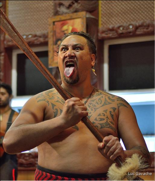 Le Haka, la célèbre danse guerrière Maori. (6)