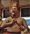 Le Haka, la célèbre danse guerrière Maori. (6)