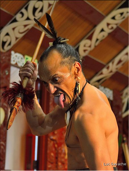 Le Haka, la célèbre danse guerrière Maori. (7)