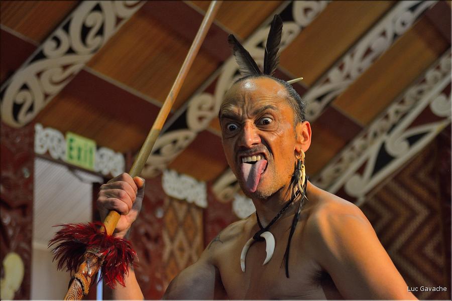 Le Haka, la célèbre danse guerrière Maori. (10)