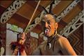 Le Haka, la célèbre danse guerrière Maori. (10)
