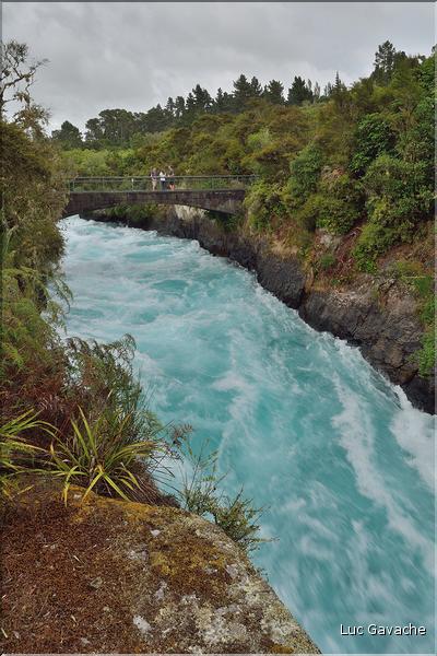 Huka Falls sur le Waikato, le plus long fleuve de Nouvelle-Zélande (région de Rotorua). (7)