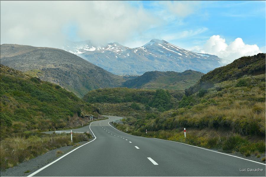 En route vers le Parc National de Tongariro. (1)