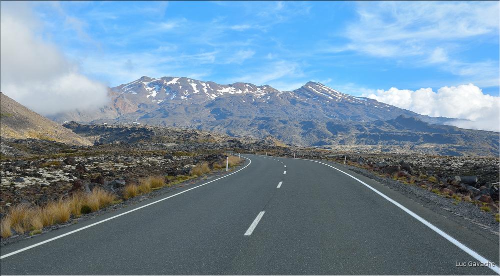 En route vers le Parc National de Tongariro. (2)