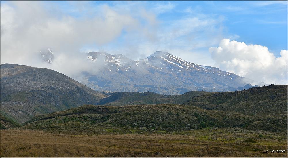 En route vers le Parc National de Tongariro. (3)