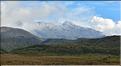 En route vers le Parc National de Tongariro. (3)