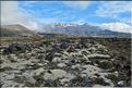 En route vers le Parc National de Tongariro. (4)