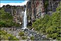En chemin vers les Tama Lakes, situés au pied du Tongariro. Ici Taranaki falls. (1)