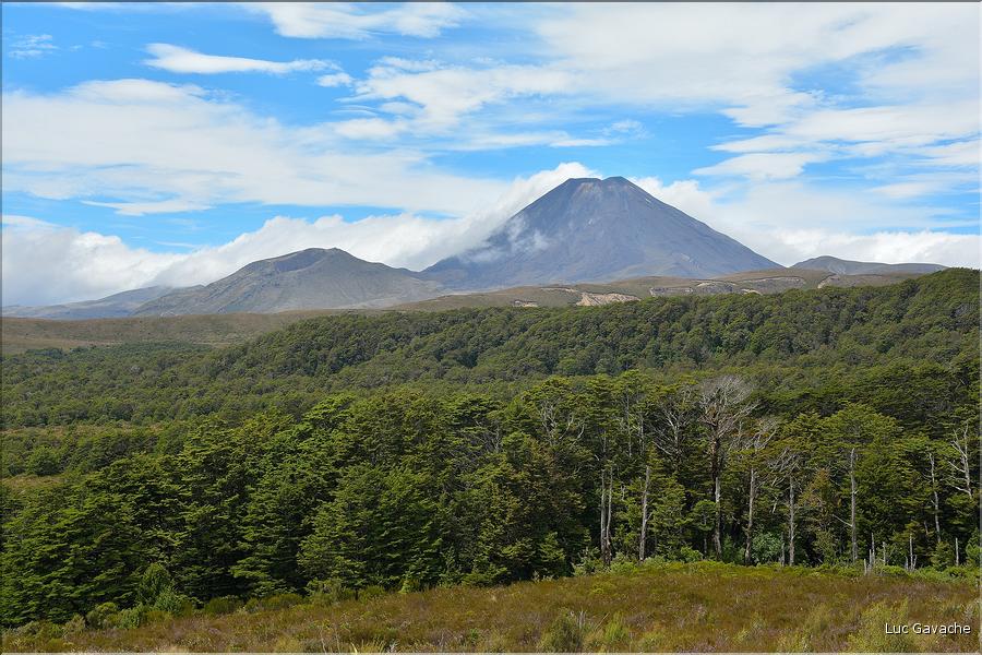 En revenant du Tongariro. (1)