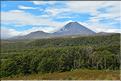 En revenant du Tongariro. (1)
