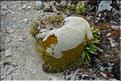 En revenant du Tongariro. (4)