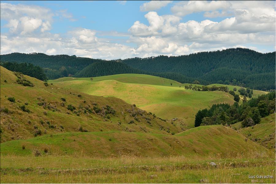 La région située au sud du Parc de Tongariro. (1)