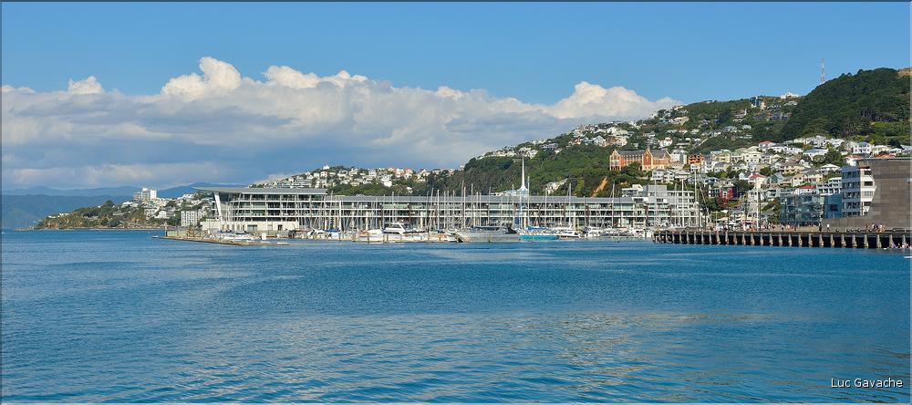 La ville de Wellington. (1)