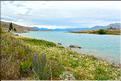 Le lac Tekapo.