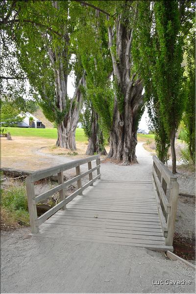 Le lac Wanaka. (5)