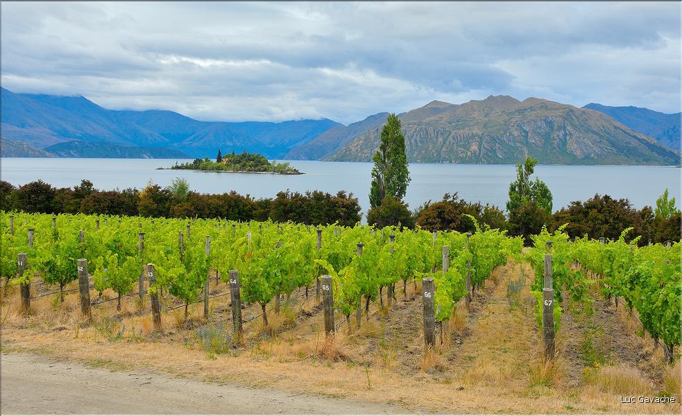 Le lac Wanaka. (7)