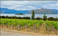 Le lac Wanaka. (7)