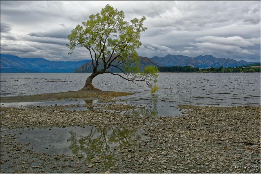 Le lac Wanaka. (9)