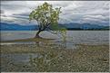 Le lac Wanaka. (9)