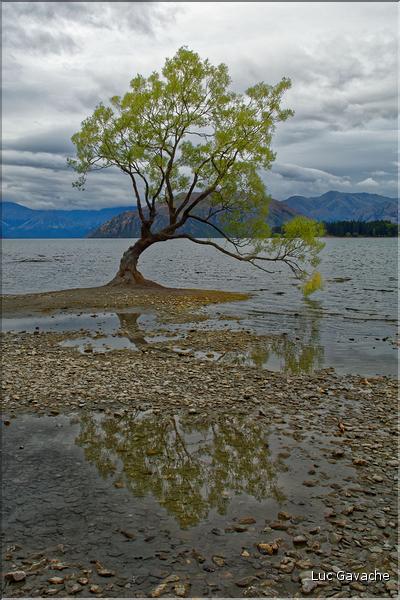 Le lac Wanaka. (10)