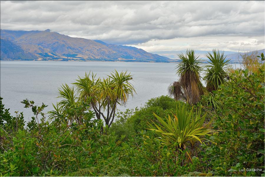 Le lac Hawea. (1)