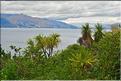 Le lac Hawea. (1)