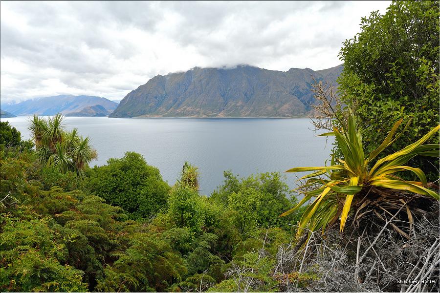 Le lac Hawea. (2)
