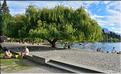 La ville de Queenstown et le lac Wakatipu. (10)