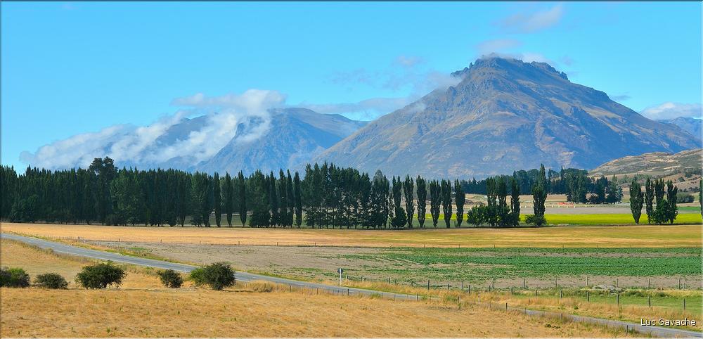 Dans les environs de Queenstown. (2)