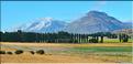 Dans les environs de Queenstown. (2)