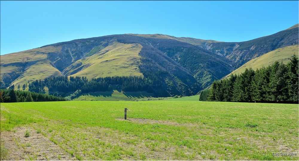 En Nouvelle-Zélande l'élevage est omniprésent. Ici nous sommes dans les environs de Te Anau. (9)