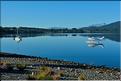 Le lac de Te Anau. (3)
