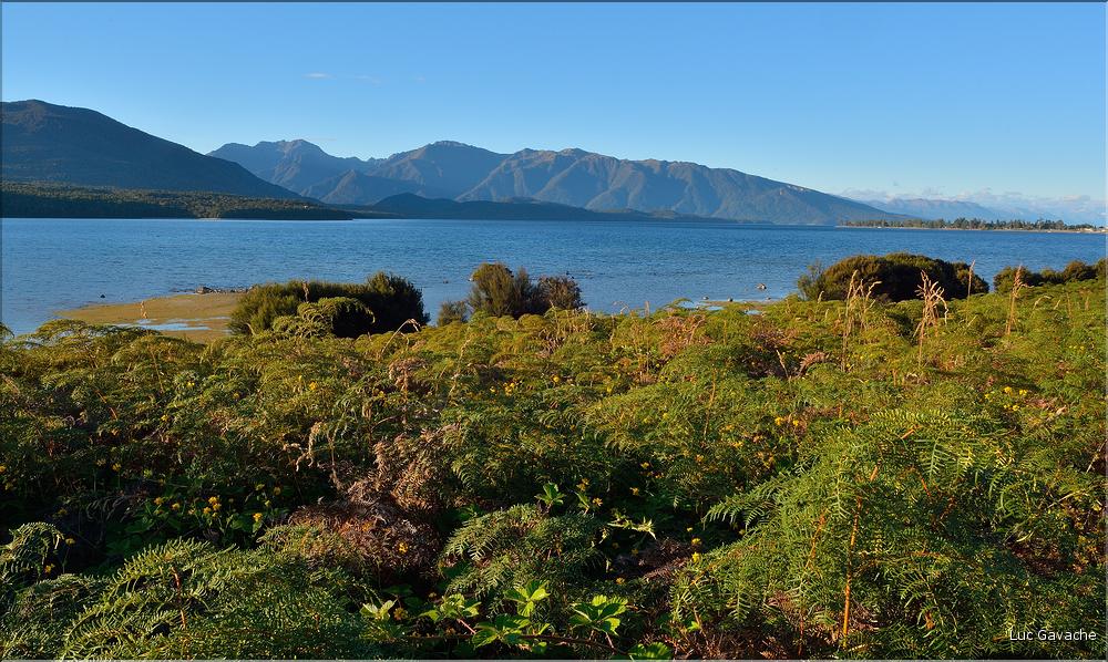 Le lac de Te Anau. (12)
