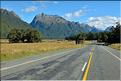 Sur la Milford Sound road. (1)