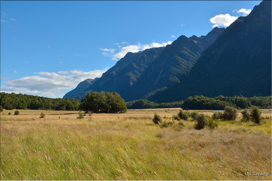 Sur la Milford Sound road. (3)