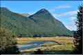 Sur la Milford Sound road. (4)