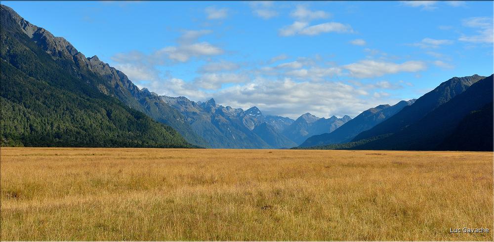 Sur la Milford Sound road. (5)