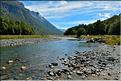 Sur la Milford Sound road. (6)