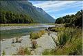 Sur la Milford Sound road. (8)
