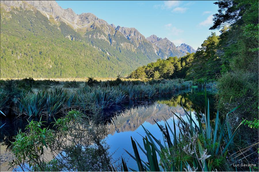Sur la Milford Sound road, Mirror Lakes. (1)