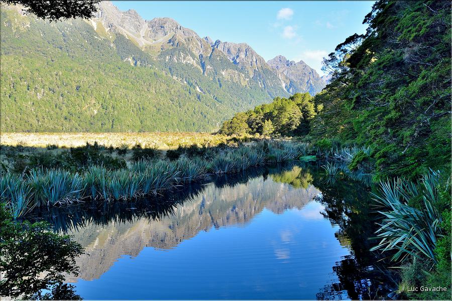 Sur la Milford Sound road, Mirror Lakes. (3)