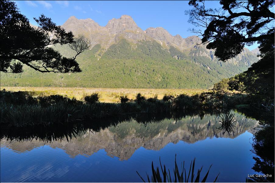 Sur la Milford Sound road, Mirror Lakes. (4)