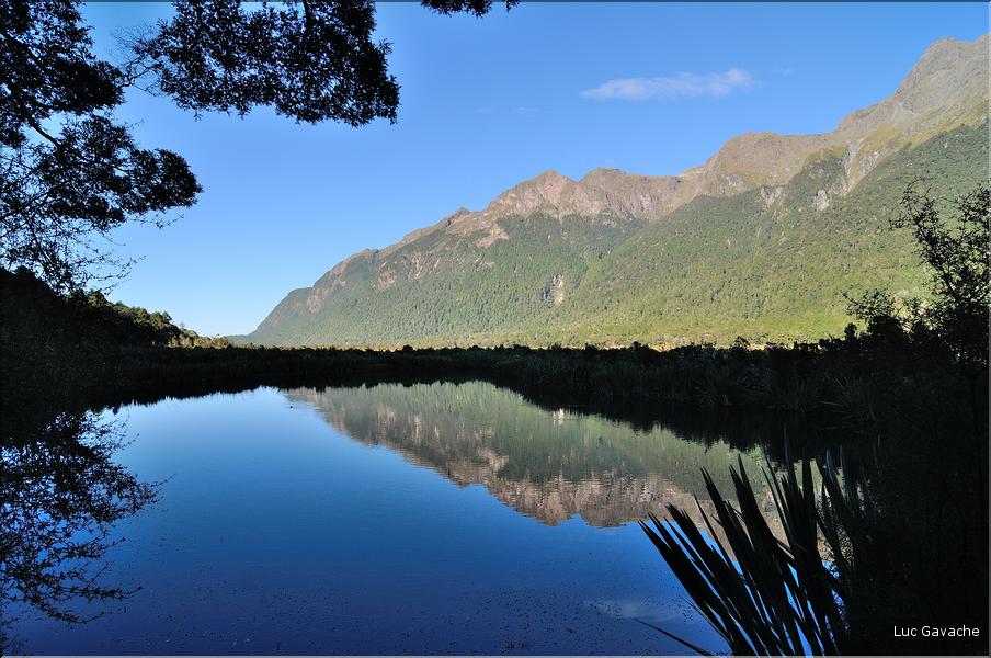 Sur la Milford Sound road, Mirror Lakes. (5)