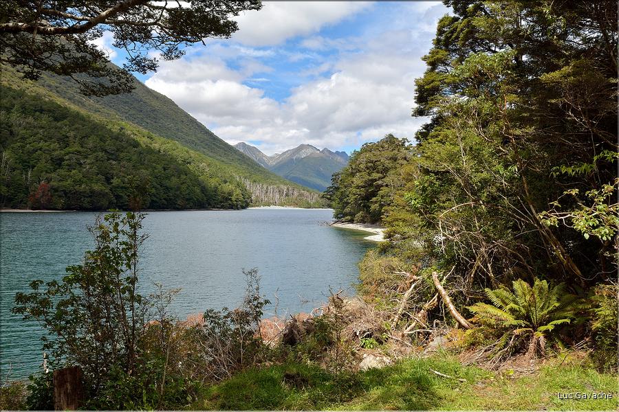 Sur la Milford Sound road. (1)