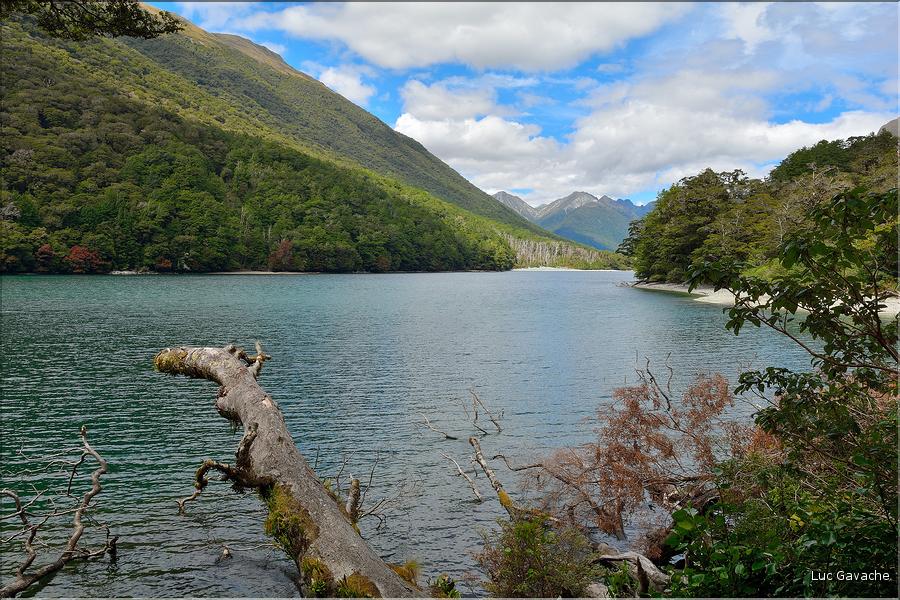 Sur la Milford Sound road. (3)